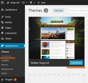 Theme customizer